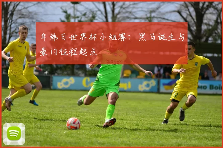 年韩日世界杯小组赛：黑马诞生与豪门征程起点
