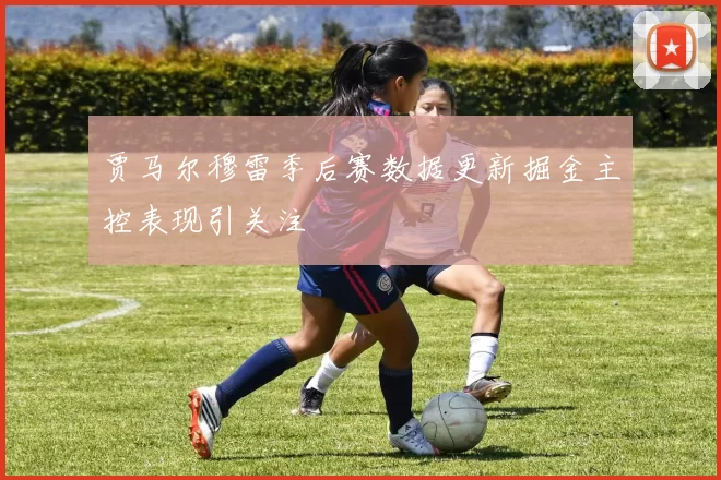 贾马尔穆雷季后赛数据更新掘金主控表现引关注