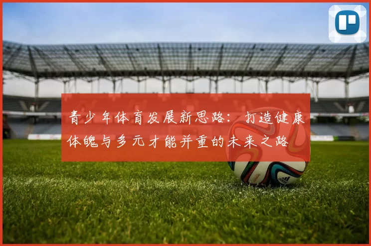 青少年体育发展新思路：打造健康体魄与多元才能并重的未来之路