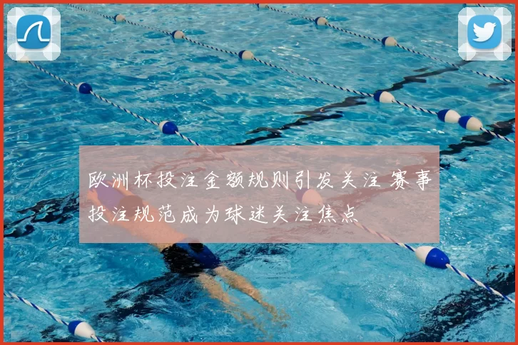 欧洲杯投注金额规则引发关注 赛事投注规范成为球迷关注焦点