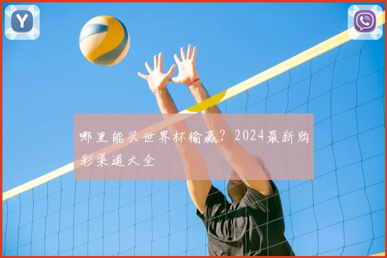 哪里能买世界杯输赢？2024最新购彩渠道大全