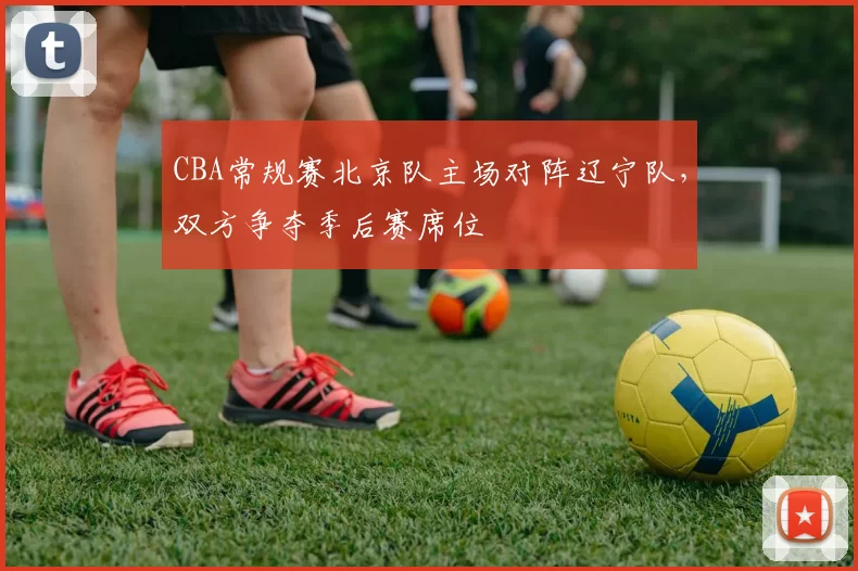 CBA常规赛北京队主场对阵辽宁队,双方争夺季后赛席位