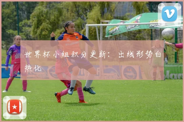 世界杯小组积分更新:出线形势白热化