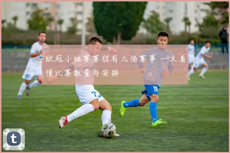 欧冠小组赛赛程有几场赛事 一文看懂比赛数量与安排