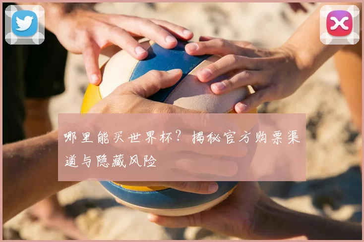 哪里能买世界杯？揭秘官方购票渠道与隐藏风险