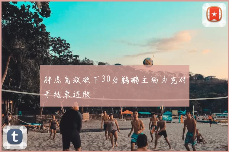 胖虎高效砍下30分鹈鹕主场力克对手结束连败