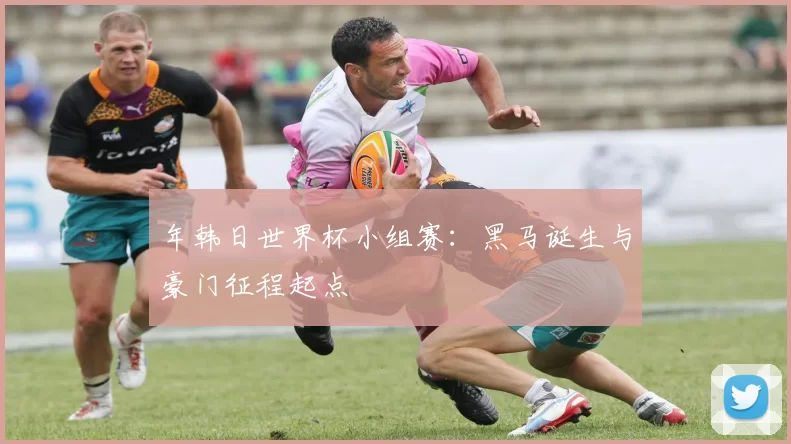 年韩日世界杯小组赛:黑马诞生与豪门征程起点