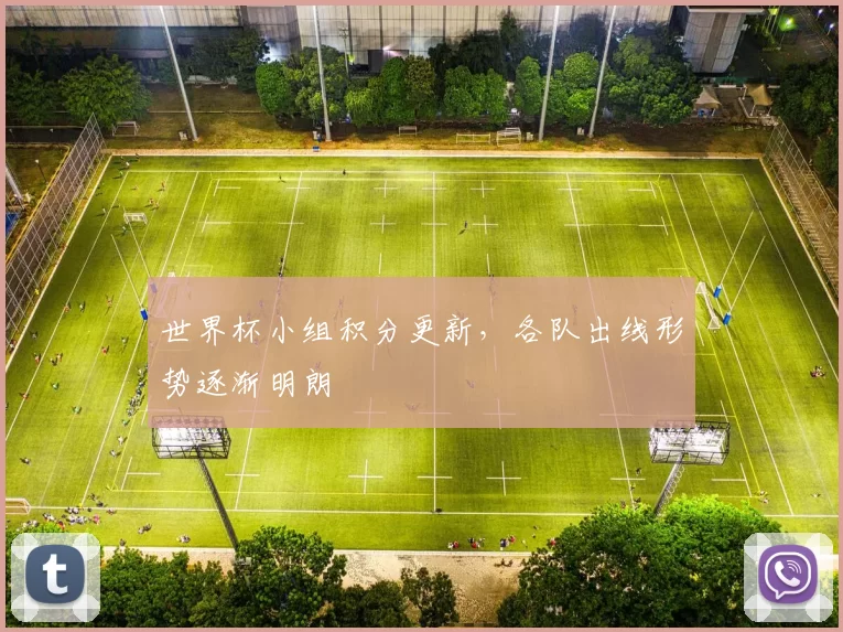 世界杯小组积分更新,各队出线形势逐渐明朗