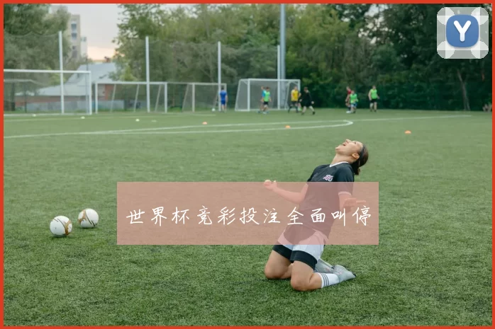 世界杯竞彩投注全面叫停