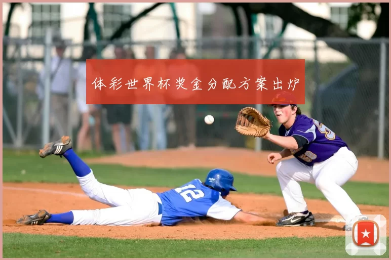 体彩世界杯奖金分配方案出炉