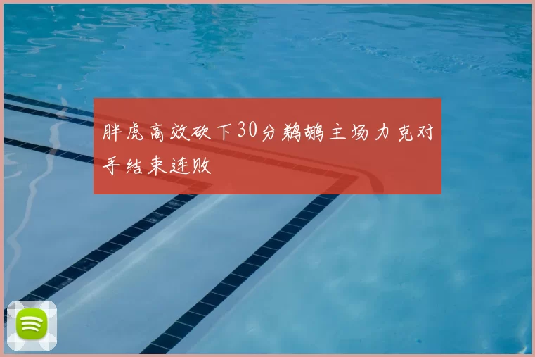 胖虎高效砍下30分鹈鹕主场力克对手结束连败