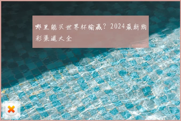 哪里能买世界杯输赢？2024最新购彩渠道大全