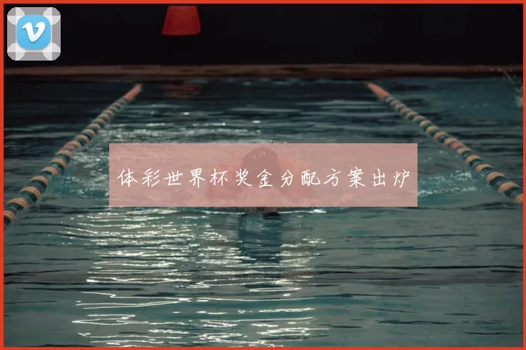 体彩世界杯奖金分配方案出炉