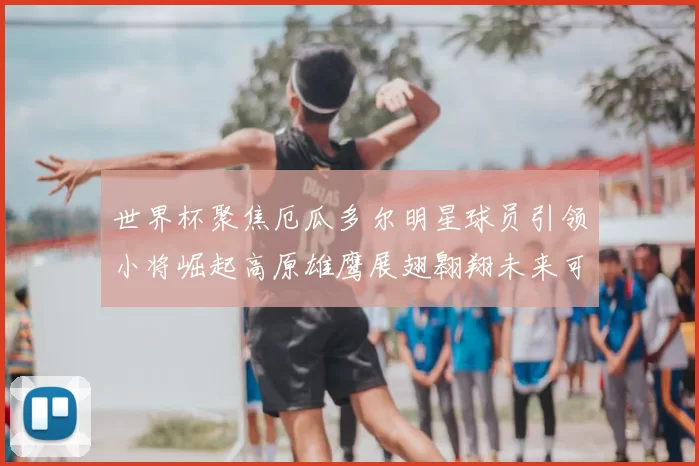 世界杯聚焦厄瓜多尔明星球员引领小将崛起高原雄鹰展翅翱翔未来可期
